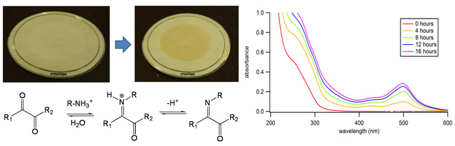 ACP - Modeling the global radiative effect of brown carbon: a