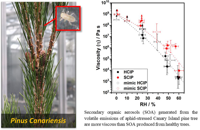 effect of aphid stress on SOA particle viscosity